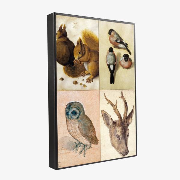Musearta Albrecht Dürer - Tiermotive - Geschenkset Verkauf