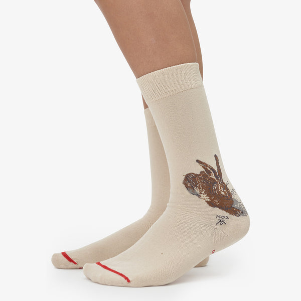 Musearta Albrecht Dürer - Feldhase Online Shopping