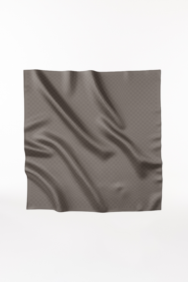 Prinz Berlin Seidentuch Illusion 123 Taupe Limitierter Zeitrabatt